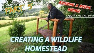 BUILDING A WILDLIFE HOMESTEAD PART 5 - RUSTIC BRIDGE- THE HIDE BEGINS- CREATE A CAR PARK