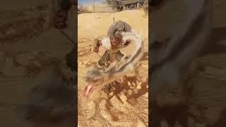 Monkey King vs Four Heavenly Kings 
