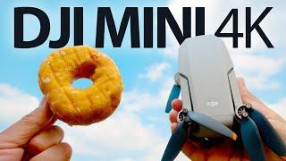 DJI Mini 4K: Cheap Drone, Unexpected Results 