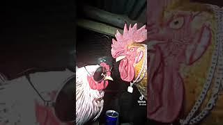 Drip Chicken | Memes i found on tiktok part 5 #memes #tiktokmemes #drip #chicken #savage #gigachad