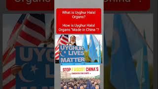 Uyghur Lives Matter - Uyghur ئۇيغۇر  Уйгур