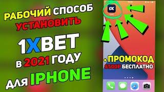 Скачать и установить 1xBet на Айфон iOS в 2021. Приложение 1хБет для IPhone + промокод 6500 руб