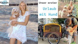 Unser erster Urlaub mit Hund in Kühlungsborn - Tipps und Erfahrungen