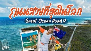 เมลเบิร์น Great Ocean Road ขับรถเลียบผาแห่งรัฐวิคตอเรีย แวะชิวเมืองตากอากาศ พาดูจิงโจ้ออสเตรเลีย!!