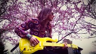 PURPLE RAIN | Instrumental Guitar Performance on Prince Signature Cloud Guitar