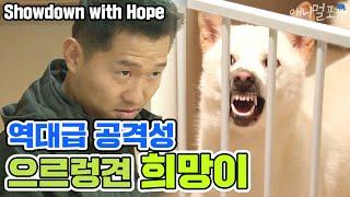 [ENG SUB] 역대급 으르렁견 '희망이'를 제압하는 강형욱 [개는 훌륭하다] Showdown with 'Hope' l Dogs are incredible