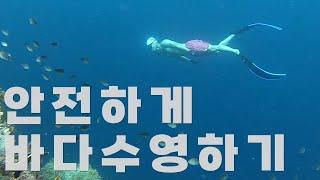 바다수영 입문자를 위한 가장 기본적인 이야기 2가지 ㅣ openwater swimming