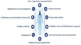 Physiological Therapeutic Effects of Hyperoxia