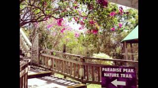 Paradise Point - St. Thomas, US Virgin Islands