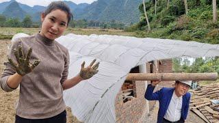 The CEO and single mother sowed rice seeds to prepare for the upcoming winter-spring crop