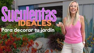 Plantas ideales para decorar jardines, terrazas o maceteros