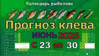 Когда лучше клюет рыба на этой неделе с 23 июня по 30 Июня 2025