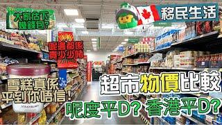 多倫多生活開支幾多錢の超市篇: Walmart [Toronto Vlog: Living expenses in Toronto | Supermarket series: Walmart]