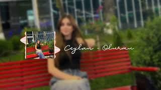 Groovy Golden - Ceylan - Olurmu