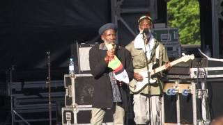 Misty In Roots at Lambeth Country Show 2015