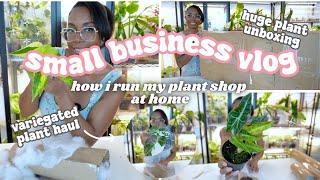 Running a Plant Store From Home Vlog🪴: Huge Rare Plants Unboxing, Prepping For Plant Shop Restock