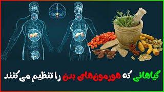 داروهای گیاهی برای تعادل و تنظیم هورمون های مردان و زنان