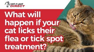 What will happen if your cat licks their flea or tick top spot-on treatment?