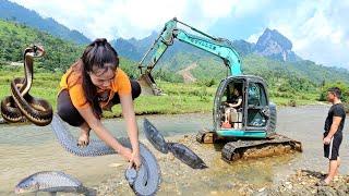 FULL VIDEO:Excavators and trucks dig ponds, fill streams and level the ground.