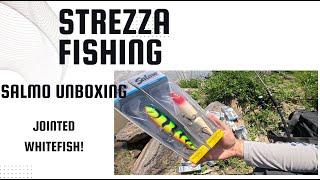 Salmo wobbler NEWS! New Hornets - OHS Pearl Shad AYU + Limited Jointed Whitefish | Strezza Fishing