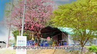 [음식남] 꽃나무 아래서 너른 강 내려다보며 즐기는 낮술 한 잔의 여유! :: S02E09 :: 남양주 조안하우스