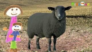 Baa Baa Black Sheep | Nursery Rhymes For Children with Lyrics - KidsOne