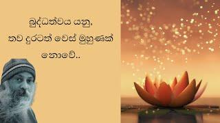 බුද්ධත්වය යනු, තව දුරටත් වෙස් මුහුණක් නොවේ, ma yeheliyayi obe, Osho  speech, Amuthu tharanaya,