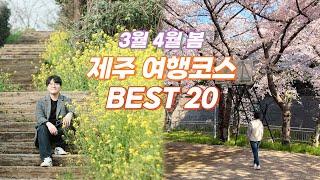 3월 4월 봄 제주여행 추천 코스 BEST 20  봄꽃 가득한 아름다운 제주 여행 즐기는 방법