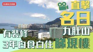 #名日·九肚山 睇有裝修示範單位低密度豪宅3年白食白住 免息免供住滿三年即轉手放賣｜香港一手新樓