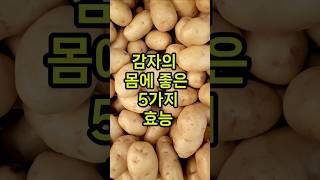 감자의 5가지 몸에 좋은 효능 #감자효능 #감자건강 #식물성단백질 #혈압조절 #비타민C  #붓기제거 #다이어트식품 #건강정보 #생활건강 #중년건강