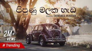 Pipunu Malaka | පිපුණු මලක හැඩ - Cover by Thiwanka Mihiran