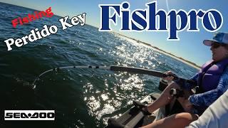 ONE Seadoo Fishpro FEEDS 8 Hungry Vacationers in Perdido Key Florida!