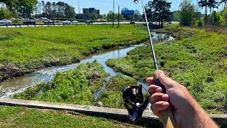 Roadside Fishing Urban Creek...Georgia