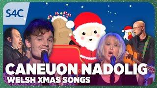 Caneuon Nadolig S4C | Best of S4C's Welsh Christmas Performances - Festive Compilation 