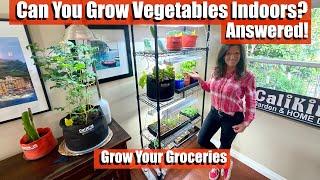 Can You Grow Vegetables Indoors? Answered!  / Grow Your Groceries