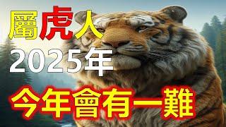 2025年屬虎人可能面臨的挑戰，屬虎之人，自古以來便被視為勇猛、果敢、獨立的象徵，屬虎人如同山中之王，有著不可一世的傲氣。屬虎人歲月流轉，運勢起伏，屬虎人為強大的生肖#生肖運勢 #生肖 #十二生肖