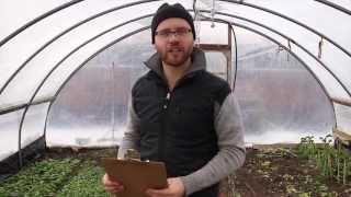 Ask The Urban Farmer: How to Kickstart Your Own Backyard Farm Adventure!