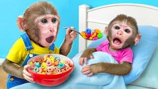 KiKi Monkey being Best Big Brother and Take Care of Baby Monkey | KUDO ANIMAL KIKI