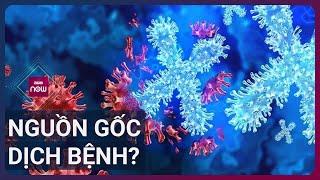  Thông tin mới về dịch bệnh bí ẩn xuất hiện ở Congo khiến loạt quốc gia hành động khẩn | VTC Now