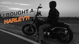 Why did I buy a Harley?! Is it right for you??