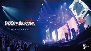 BLUE ENCOUNT - Bad Paradox from 「BLUE ENCOUNT TOUR 2022-2023 〜knockin' on the new door〜THE FINAL」