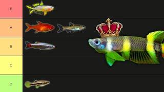 Ranking more Nano Fish!