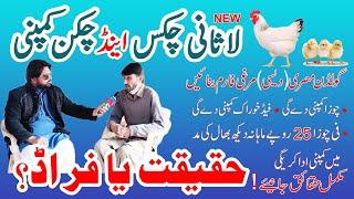 Lasani Chicks and Chicken  Business