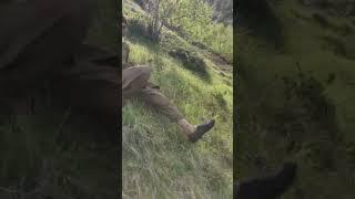 #shorts #viral #zeevlog #nature #gilgitbaltistan #shortvideo #bulachi