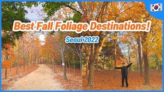 Best 5 fall foliage locations in and near Seoul | Travel in Korea | Your Korea Friend