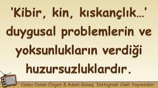 Kibir, kin, kıskançlık vb zannedilen sorunların birçoğu, duygusal problemlerin ve yoksunlukların...