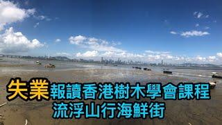 失業報讀香港樹木學會臨走￼流浮山行街街