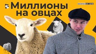 5 миллионов чистой прибыли. Овцы как бизнес. Как сельский франт построил с нуля ферму