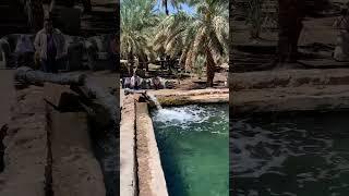 Hazrat Salman Farsi (RA) ka Bagh in Madinah