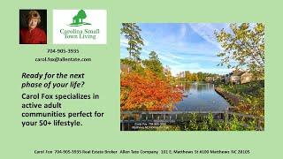 One level homes for sale in Union County NC